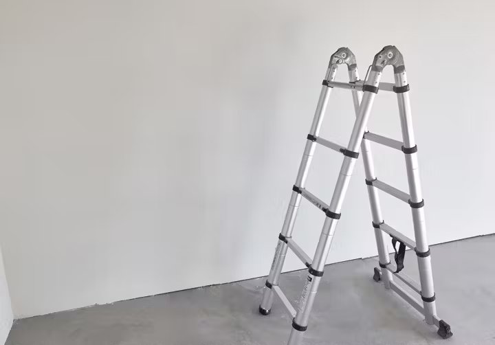 Échelle de toit professionnelle